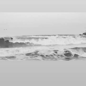 videoの画像