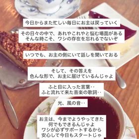 2026/02/24の画像