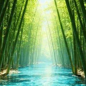 2026/04/09の画像