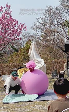 『桜餅』風船人間 故郷 淡路島 桜まつり大道芸の記事動画