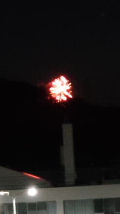 プチ花火大会・・・の記事動画