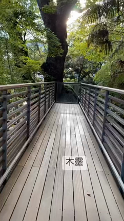 來宮神社にての記事動画