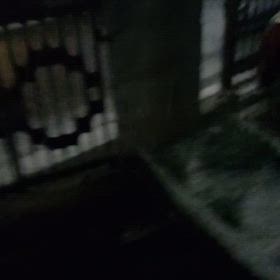 雪★の画像