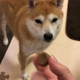 いらんわっの画像