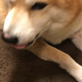 見てて！の画像