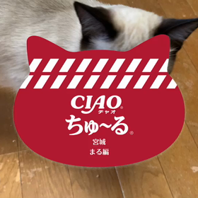 ちゅ~~~る大好き♡の画像