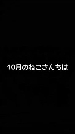 *おにぎり食べ放題«٩(*´ ꒳ `*)۶»朝食バイキング*の記事動画