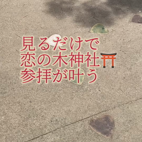 恋の木神社代行祈願（か  に座守り絵をお迎えの方）の画像