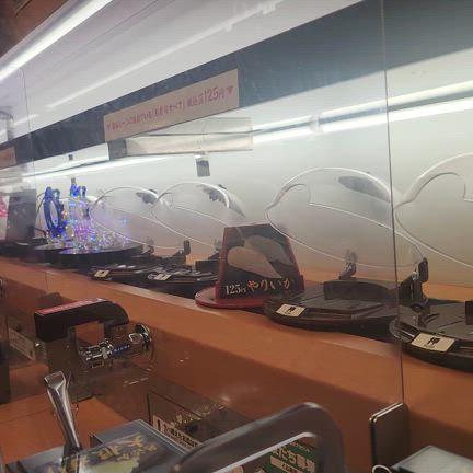 何事も本気でやる若様の天使の記事動画