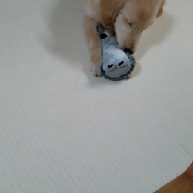 一人遊び❤の画像