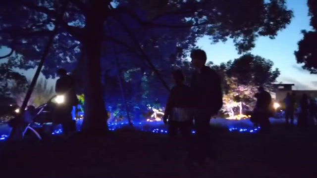 ネモフィラ観に行ったよ　動画付き(友達提供)の記事動画