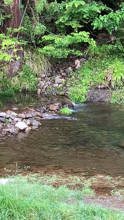 ようざわ便り　5月26日　午後　晴れ　気温21℃　水温17℃の記事動画
