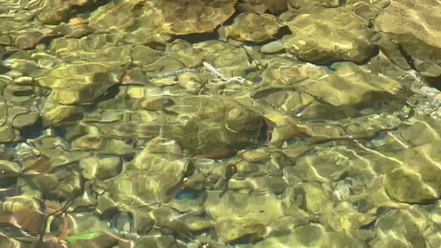 ようざわ便り  5月17日　午後　晴れ　気温30℃　水温18℃の記事動画