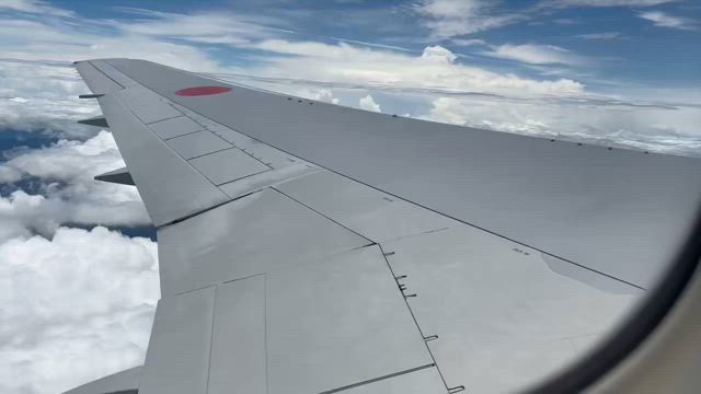 四国脱出物語の記事動画