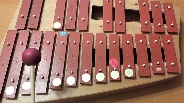 ３月便り　きれいな音で弾きたい♪の記事動画