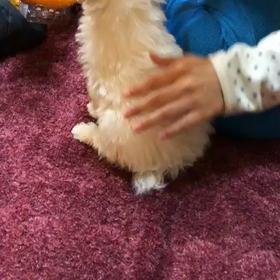 可愛すぎる…の画像