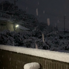 また雪の画像