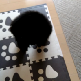 くるくるくるくる　(゜〇゜;)?????の画像
