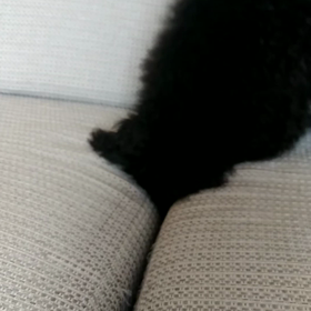 穴堀り？　Σ(゜Д゜)の画像