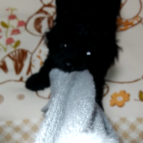 無我夢中です(^^)の画像