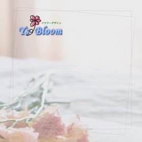 2024/02/28の画像
