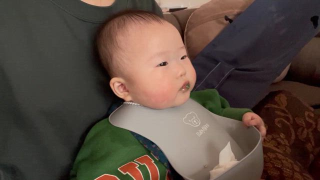 ほうれん草の記事動画