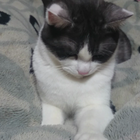 (^3^)/～☆  週末だらだらしてるの画像