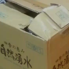 (ФωФ)  土筆？土竜？の画像