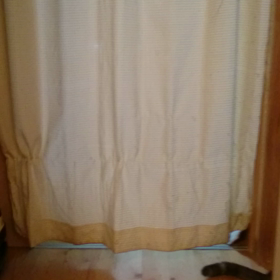 (´-ω-`)  なんとかとケムリの画像
