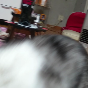 へ(￣-￣)ゞ  蛇拳vsぽーの画像
