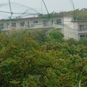 台風。。。の画像