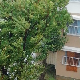 あらら。。。の画像