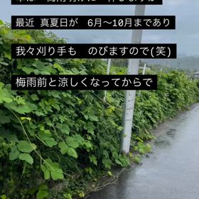 2025/04/11の画像