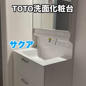 2025/02/26の画像
