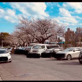 2025/04/03の画像