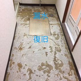 2025/04/11の画像