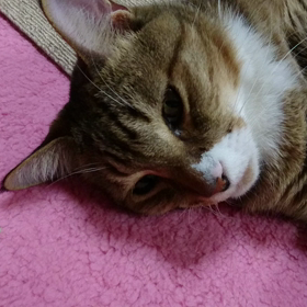 定位置の画像