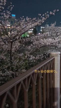 2024/04/11の記事動画