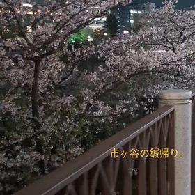 2024/04/11の画像