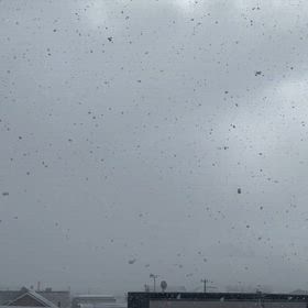 【弓道】6回目・函館の天気は当てにならないの画像