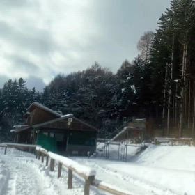 旅立つ蒼い瞳の君の画像