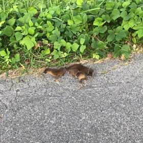 遭遇‼︎の画像