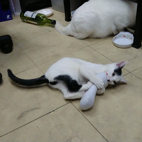 スマホからこんばんはの画像