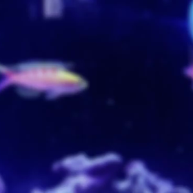 酔っ払って動画を編集してみた3の画像