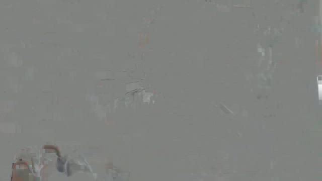 Sakai❤︎猫活❣️譲渡会のご報告！の記事動画