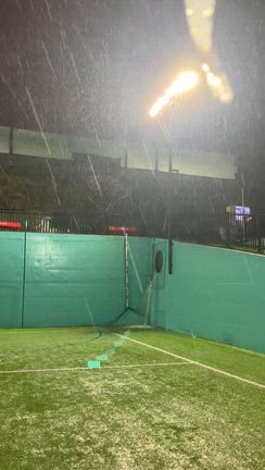今日の写真の記事動画