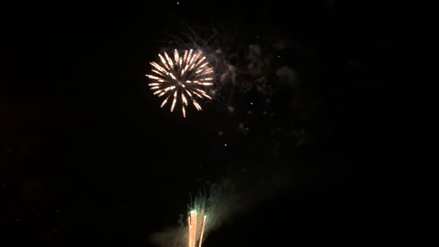 今年も花火を見ることができましたの記事動画
