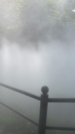 【開催報告】アフタヌーンティーと雲海を楽しむクリスタルボウル奏者の会の記事動画