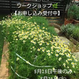 2026/05/18の画像