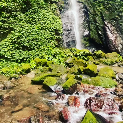 滝で◯◯に絶叫した日の記事動画